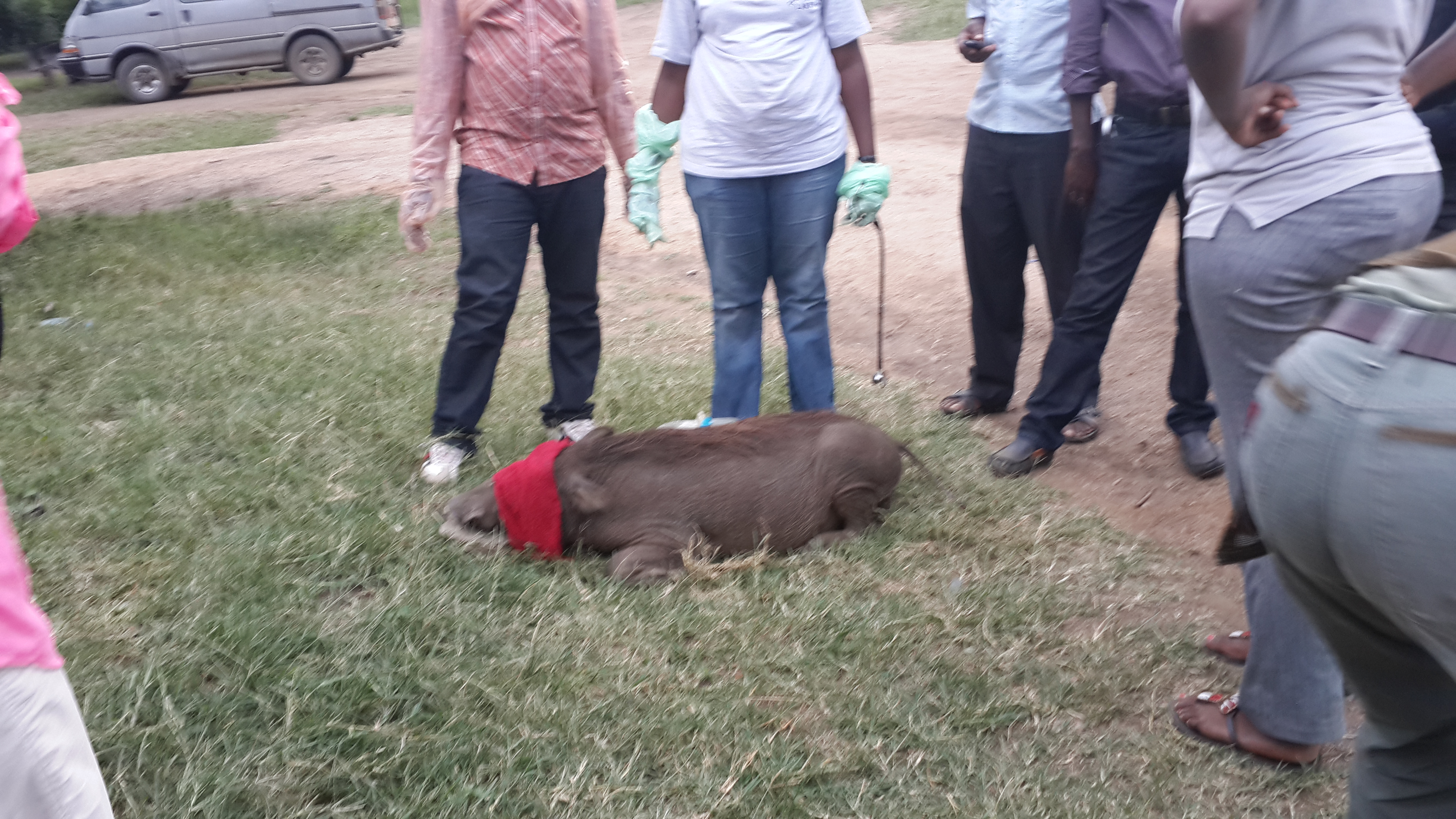 Science driven field work image 3